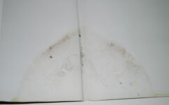 Conway's the War At Sea in Photographs Additional Image