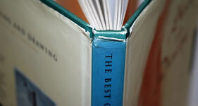 Best of Sketching and Drawing  A Collection of Still Lifes, Portraits and Additional Image