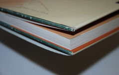 Best of Sketching and Drawing  A Collection of Still Lifes, Portraits and Additional Image