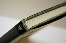 Best of Sketching and Drawing  A Collection of Still Lifes, Portraits and Additional Image