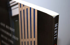 Otto Wagner Und Wien Mertz Additional Image