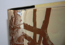 To the Last Man  Spring 1918 Additional Image