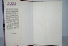 The Birth of the Luftwaffe Additional Image