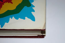 Military Badge Collecting Additional Image