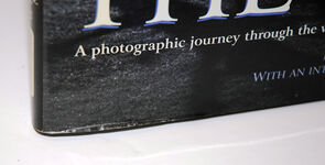 The Fallen  A Photographic Journey Through the War Cemeteries and Additional Image