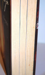 Nell Gwyn Additional Image