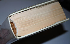 The Seymours of Wolf Hall  A Tudor Family Story Additional Image