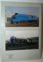 Doncaster Plant Works. Additional Image