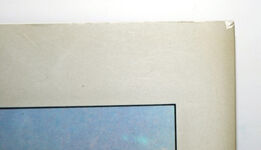 Doncaster Plant Works. Additional Image