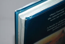 The Golden Age of European Railways Additional Image