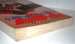 Collecting Toy Cars and Trucks  A Collectors' Identification and Value Additional Image