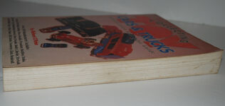 Collecting Toy Cars and Trucks  A Collectors' Identification and Value Additional Image
