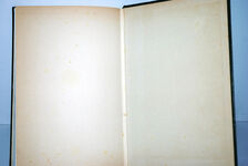 Twin Souls, Twin Swords Additional Image