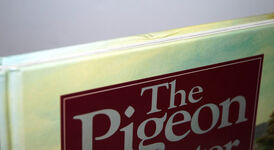 The Pigeon Shooter The Complete Guide to Modern Pigeon Shooting Additional Image