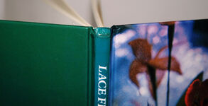 Lace Flowers and How to Make Them Additional Image