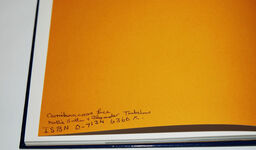 Colour and Texture in Needlepoint Lace Additional Image