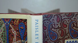 Paisley Patterns A Design Source Book Additional Image