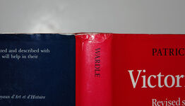 Victorian Lace Additional Image