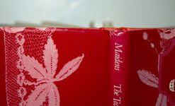 THE TECHNIQUES of CROCHETED and OPENWORK LACE Additional Image