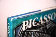 Picasso Additional Image