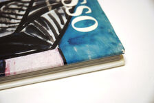 Picasso Additional Image