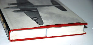 The Attacker Hudson and its Flyers Additional Image