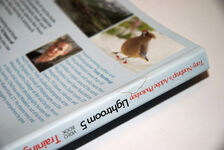 Tony Northrup's Adobe Photoshop Lightroom 5 Video Book Training for Additional Image