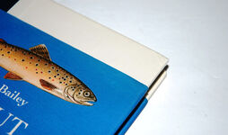 Trout At Ten Thousand Feet Additional Image