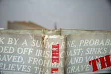 The Lusitania Case Additional Image