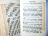 The Quiet Shore Additional Image