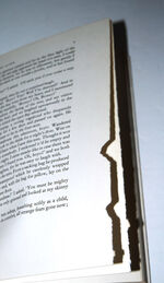 The Four-Acre by J C Badcock Additional Image