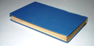 Portrait of Barrie Additional Image