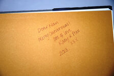 Tigers Forever Saving the World's Most Endangered Big Cat Additional Image