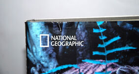 Tigers Forever Saving the World's Most Endangered Big Cat Additional Image