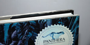 Tigers Forever Saving the World's Most Endangered Big Cat Additional Image