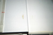 Spring Offensive, 1918 Additional Image