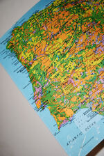 Flowers of South-West Europe A Field Guide Additional Image