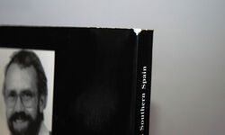 Birdwatching in Southern Spain. Additional Image