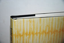 Line of Lost Lives (Signed) Additional Image