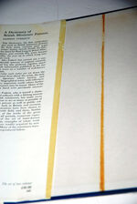 Dictionary of British Miniature Painters Up to 1910 Text V. 1 Additional Image