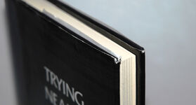 Trying Neaira The True Story of a Courtesan's Scandalous Life in Ancient Additional Image