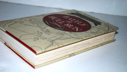 Battle At Bull Run Additional Image