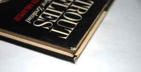 Trout Flies in New Zealand Additional Image