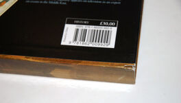 The Story of Jerusalem The Illustrated History of the Holy City Additional Image