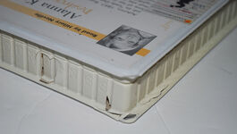 Destroying Angel Additional Image