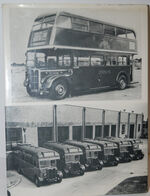 Fifty Years of the Green Line Additional Image