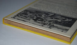 Champion's Book of Speedway Additional Image