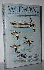 Wildfowl An Identification Guide