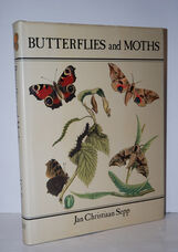 Butterflies and Moths