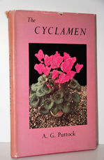The Cyclamen